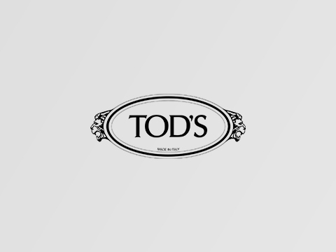 托德斯(TODS)