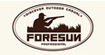 弗邦行(Foresun)logo